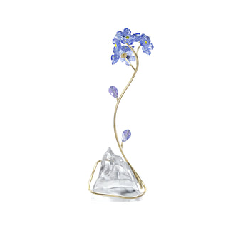 Florere Forget-me-not